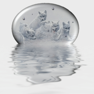 Globe 